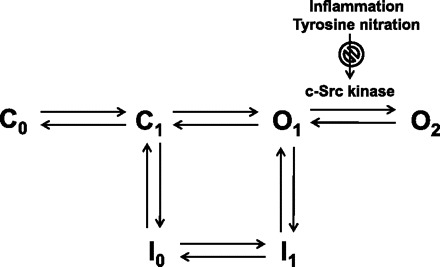 Fig. 8.