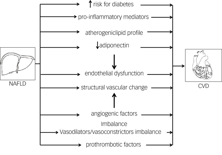 Figure 1: