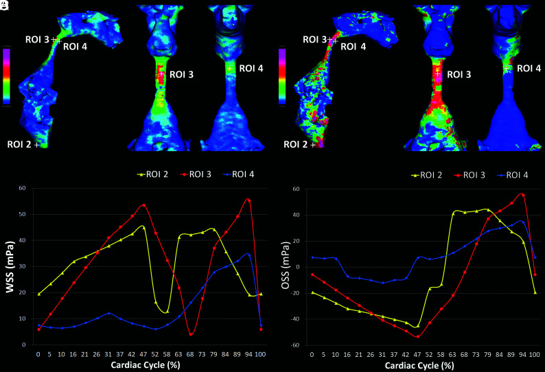 FIG 3.