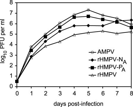 FIG. 2.