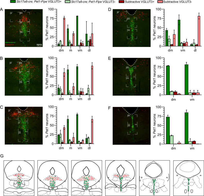 Figure 3—figure supplement 2.