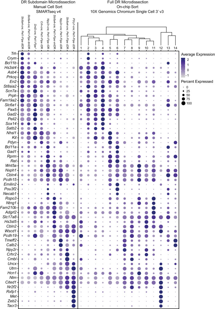 Figure 4—figure supplement 1.