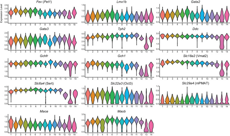 Figure 1—figure supplement 3.