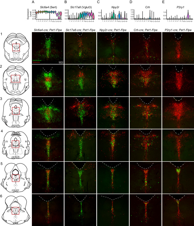 Figure 3.