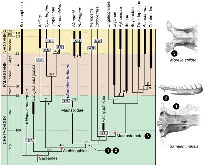 Figure 6