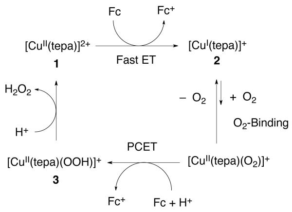 Scheme 3