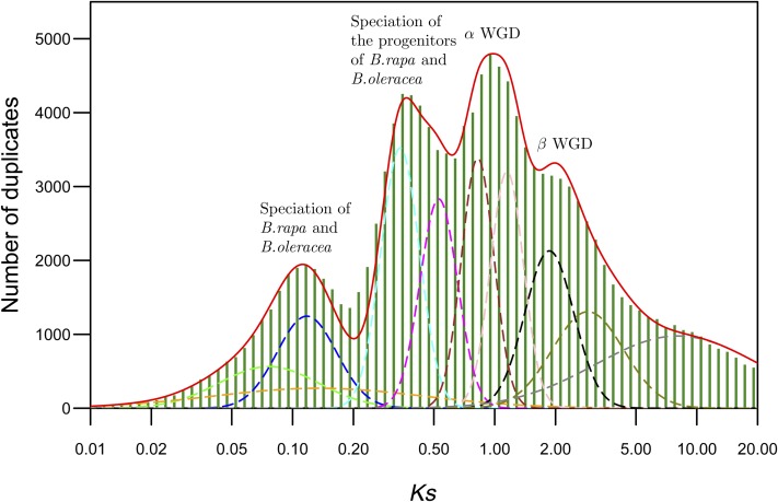 Figure 4.