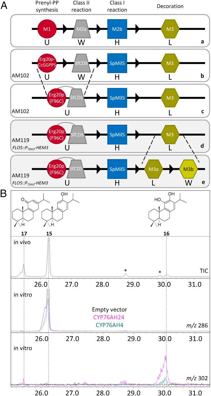 Fig. 2.