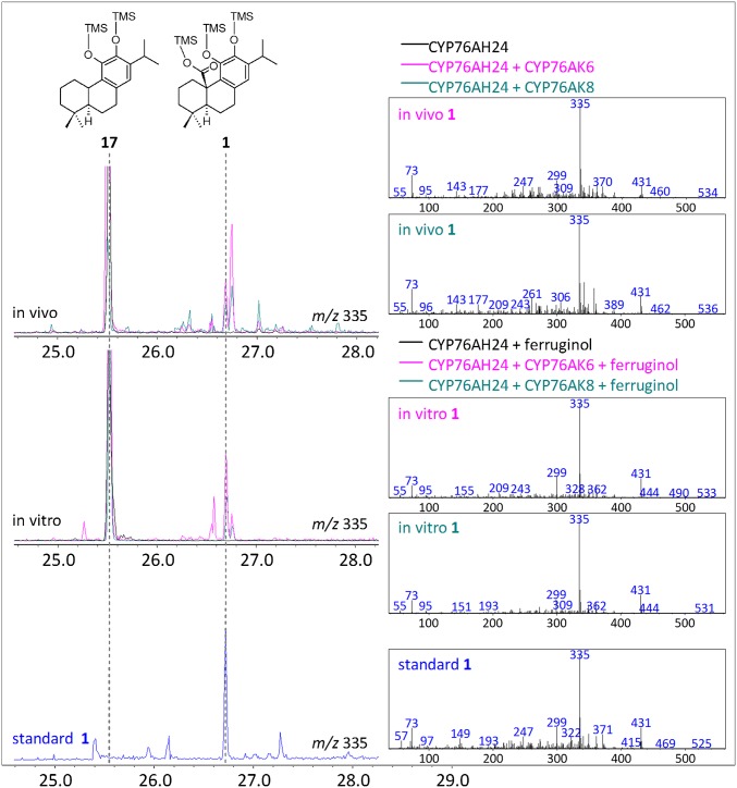 Fig. 4.