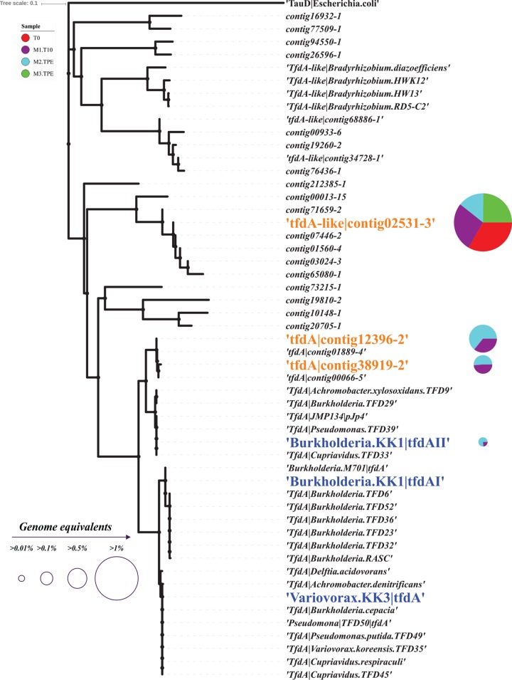 FIG 3