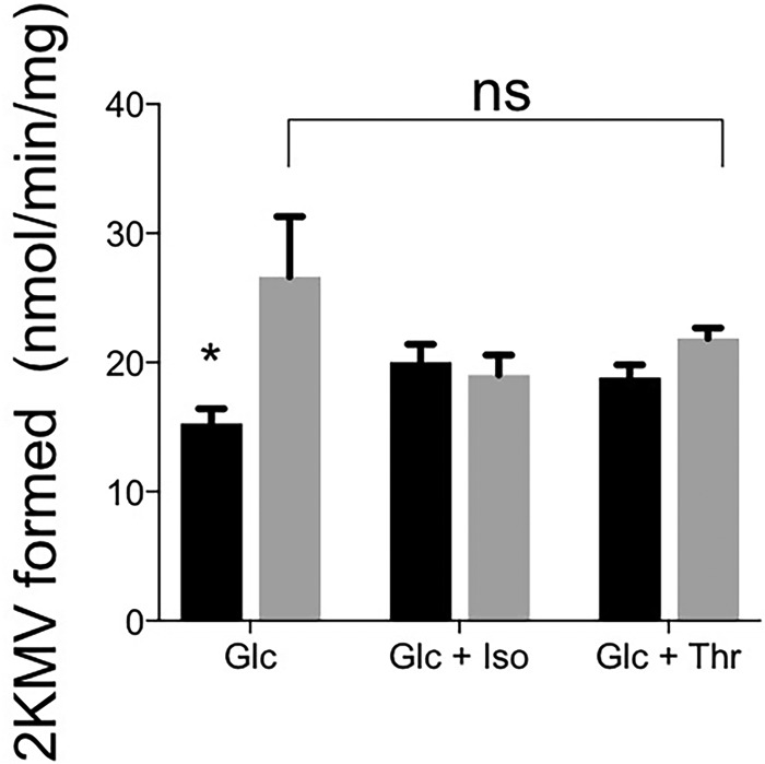 FIG 6