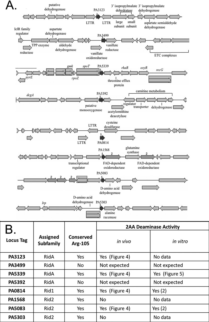 FIG 2