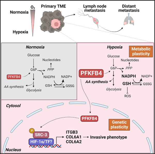 graphic file with name nihms-1855848-f0001.jpg