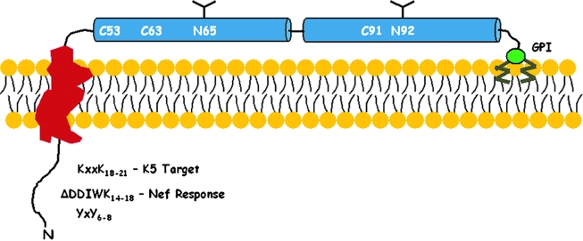 FIG. 1.