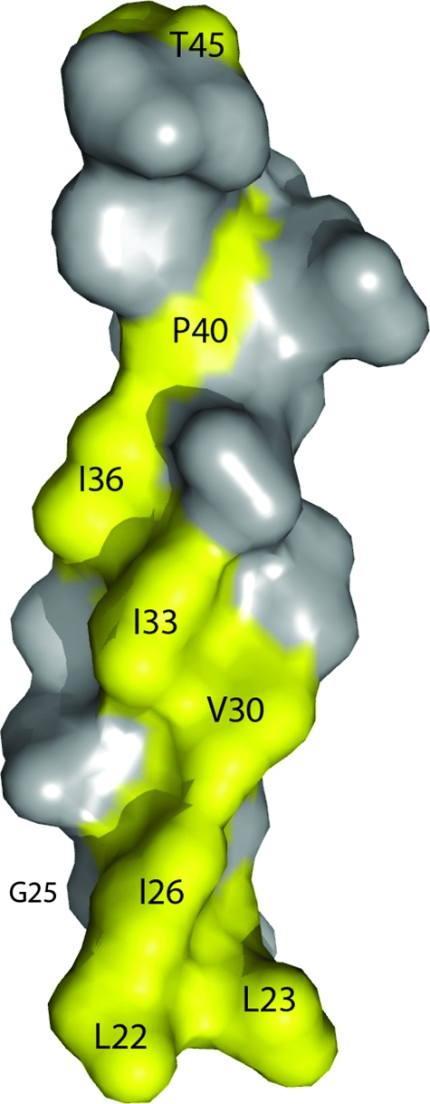 FIG. 6.