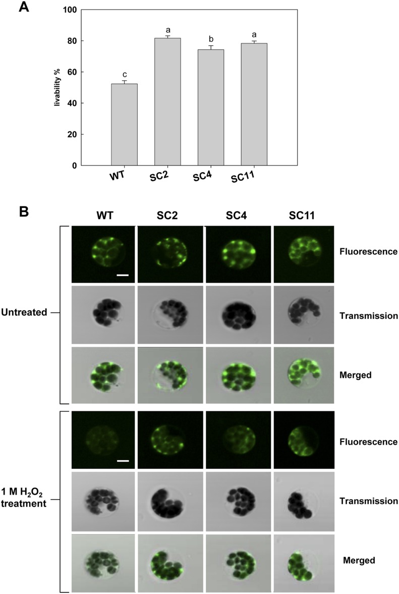 Figure 2.