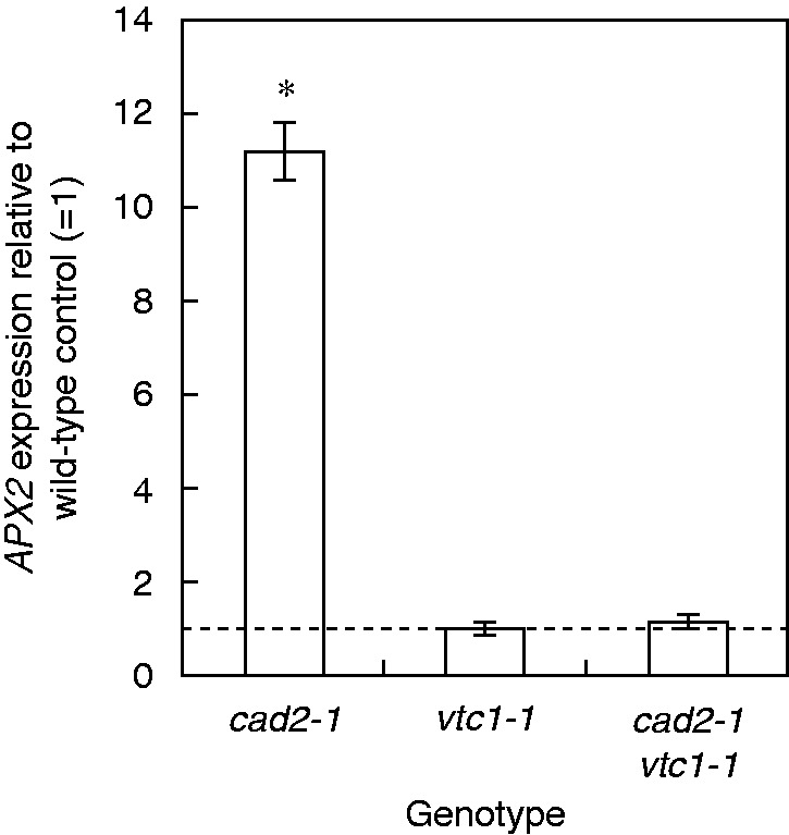 Fig. 9.