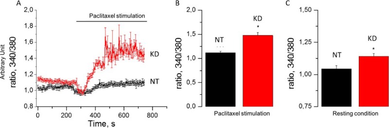 Fig. 4.