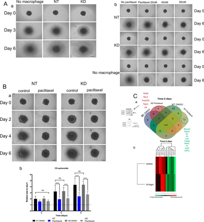 Fig. 7.