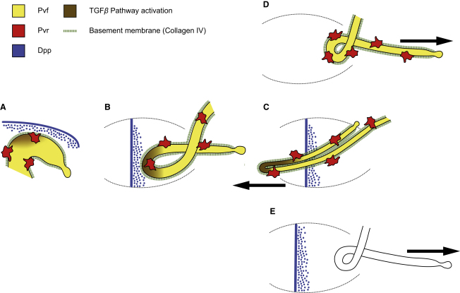 Figure 6