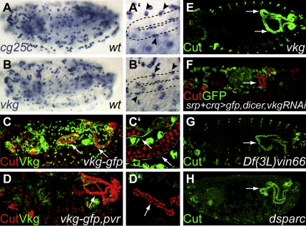 Figure 3