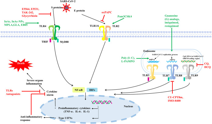 FIGURE 2