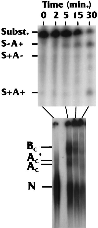 FIG. 4.