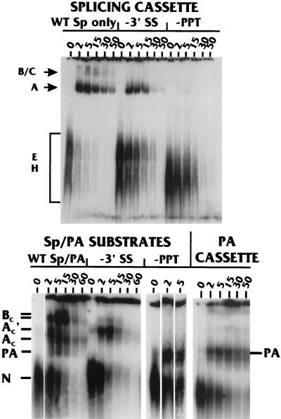 FIG. 5.