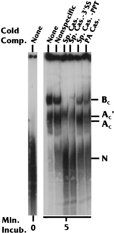 FIG. 8.