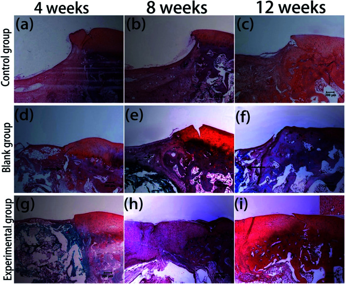 Fig. 13