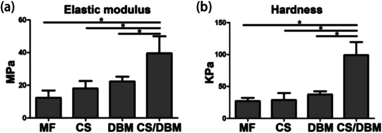 Fig. 10