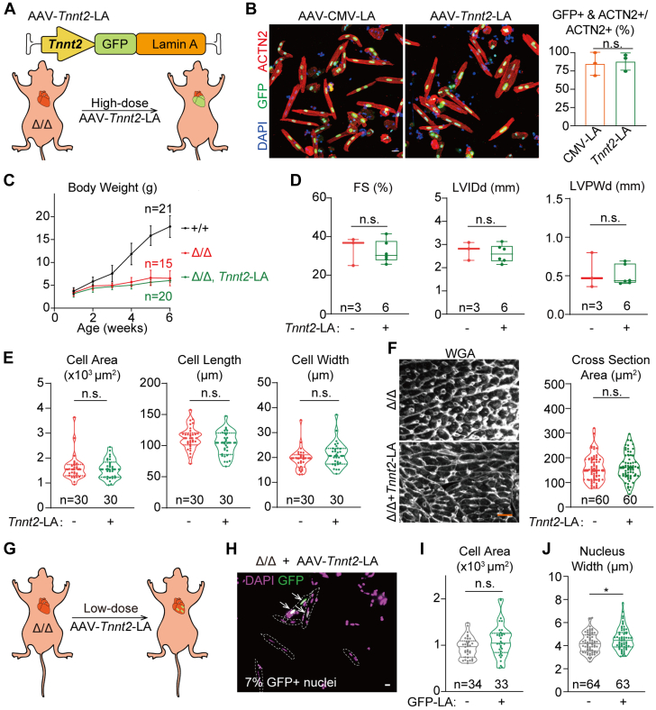 Figure 6