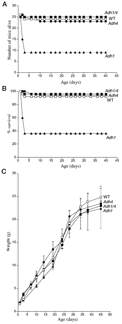 FIG. 6