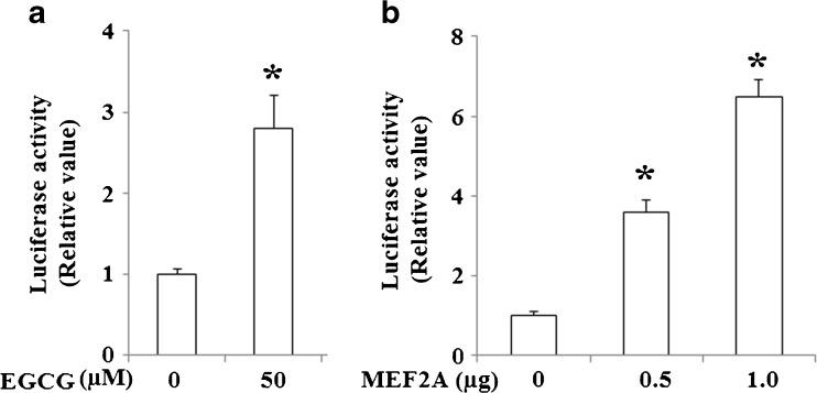 Fig. 11