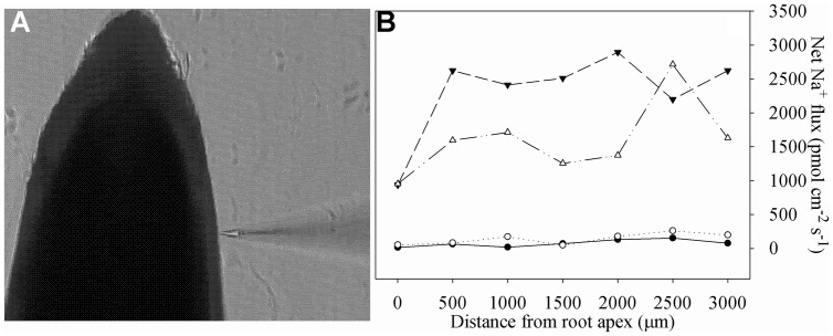 FIGURE 1