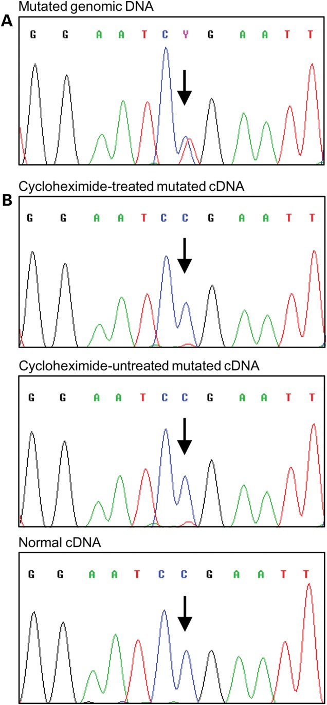 Figure 1.