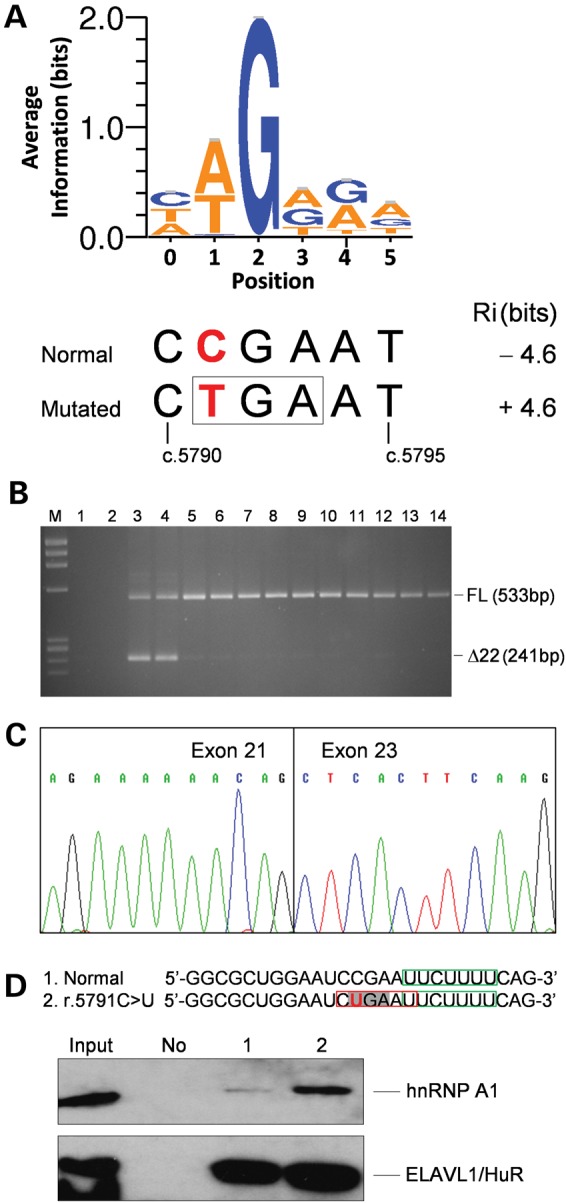 Figure 2.