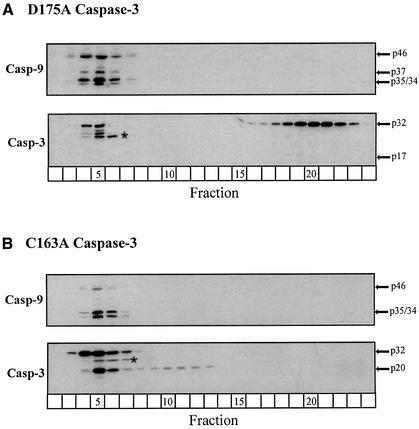 graphic file with name cde109f4.jpg