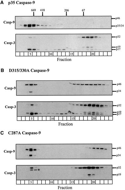 graphic file with name cde109f3.jpg