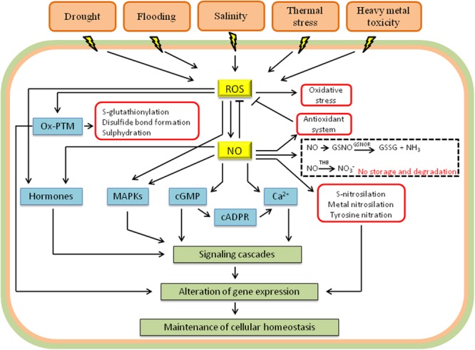 FIGURE 2