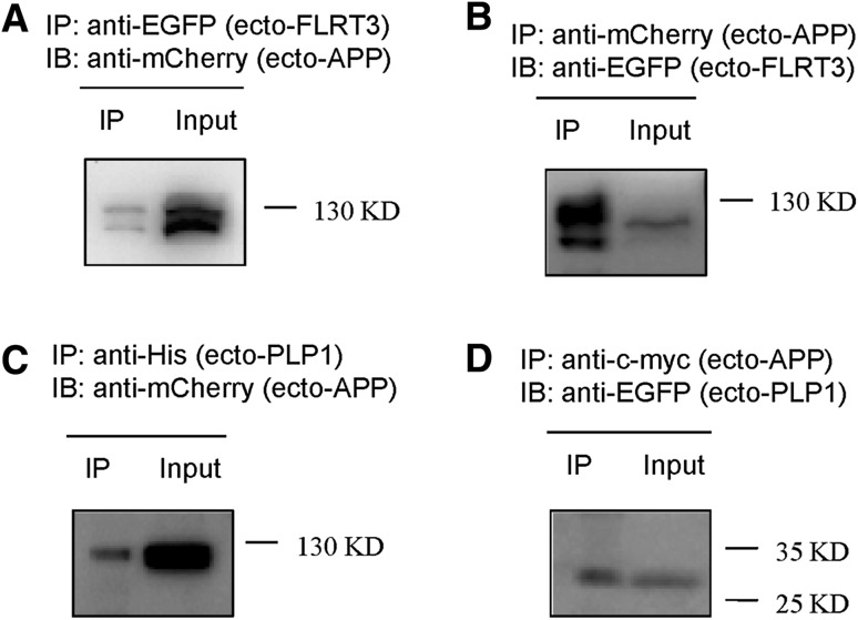 Fig. 4