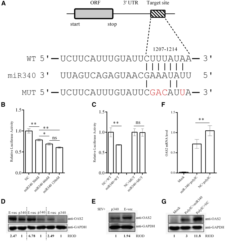 Figure 5