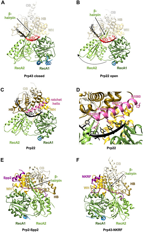 Figure 2.