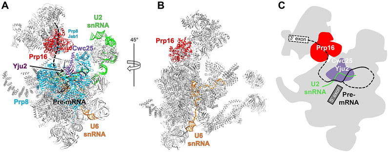 Figure 4.