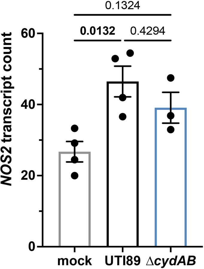 Extended Data Fig. 4