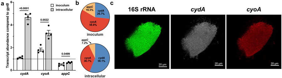 Extended Data Fig. 6