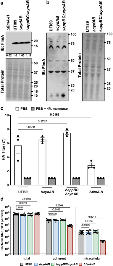 Extended Data Fig. 1