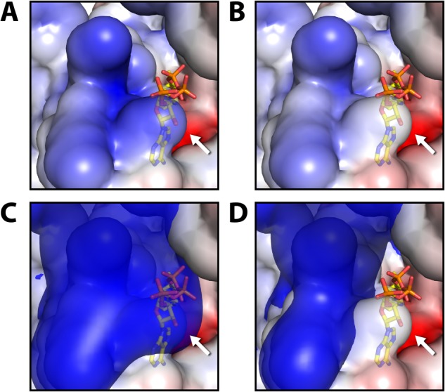 FIGURE 6.