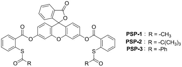 Scheme 3