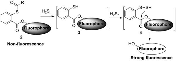 Scheme 2